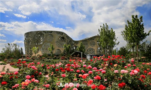 世界月季主題園在中國月季展中榮獲金獎(jiǎng)！(圖2)