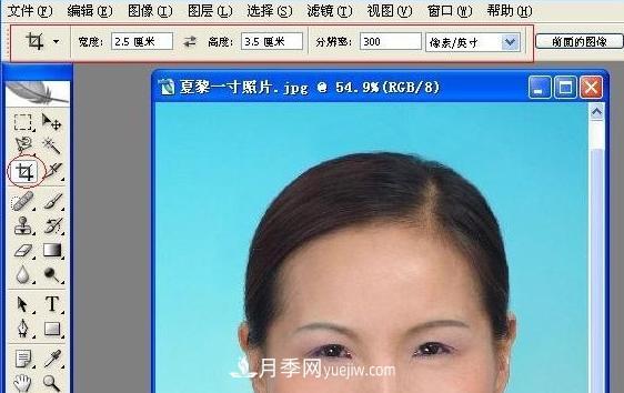 一寸照片的尺寸是多少像素？一寸照片規(guī)格PS排版圖文教程(圖1)