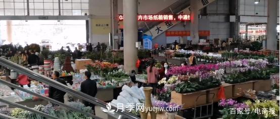 亞洲***大花卉小鎮(zhèn)：昆明斗南玫瑰4毛一支，年銷70億！(圖1)