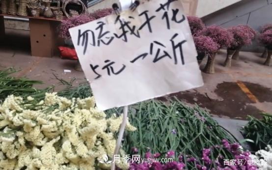 亞洲***大花卉小鎮(zhèn)：昆明斗南玫瑰4毛一支，年銷70億！(圖3)