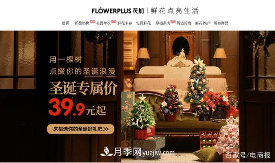 亞洲***大花卉小鎮(zhèn)：昆明斗南玫瑰4毛一支，年銷70億！(圖4)