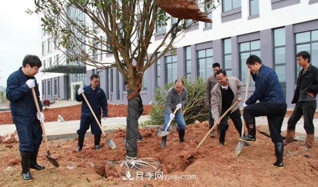 20條可以指導(dǎo)苗木花卉移植的諺語(圖2) 20條可以指導(dǎo)苗木花卉移植的諺語(圖2)