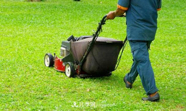 9月園林花木養(yǎng)護工作要點(圖1)