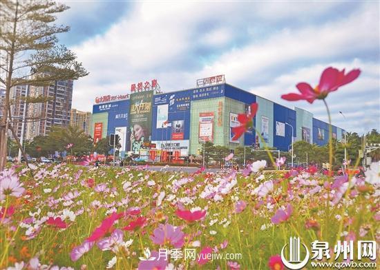 泉州洛江改造提升綠化景觀：城區(qū)四季有景 市民開(kāi)門見(jiàn)綠(圖1)