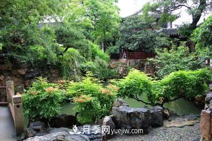 據(jù)說(shuō)中國(guó)人每到一個(gè)地方，都要去看看當(dāng)?shù)氐膱@林？(圖3)