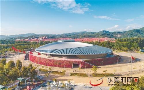 初冬時節(jié)，東莞市長安鎮(zhèn)時令花卉大放異彩令人賞心悅目(圖1)