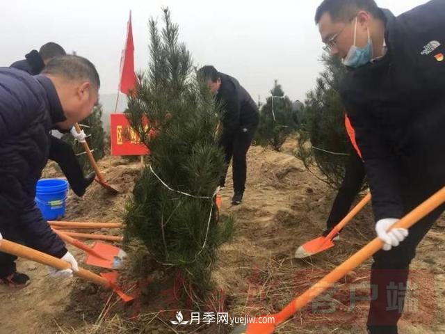 為冬日添新綠！南陽市開展千人義務植樹活動(圖1)