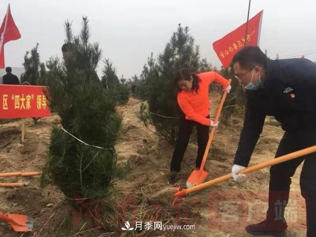 為冬日添新綠！南陽市開展千人義務植樹活動(圖2)