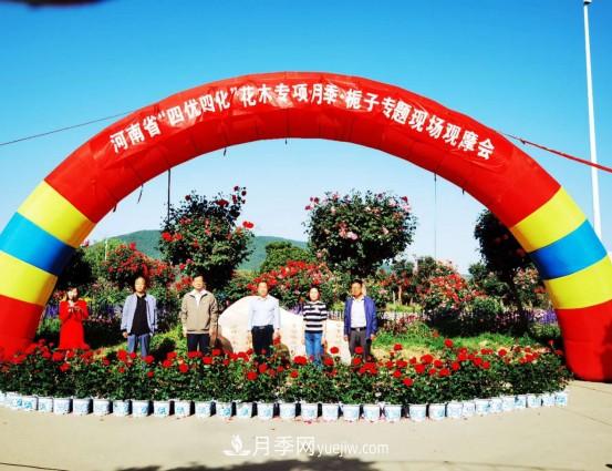 河南省四優(yōu)四化項(xiàng)目 助推南陽月季、梔子產(chǎn)業(yè)發(fā)展(圖1)