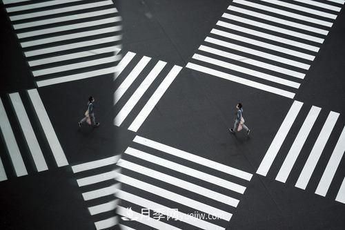 2020年歪果仁選中的年度詞匯，其實(shí)都說了一件事(圖3)