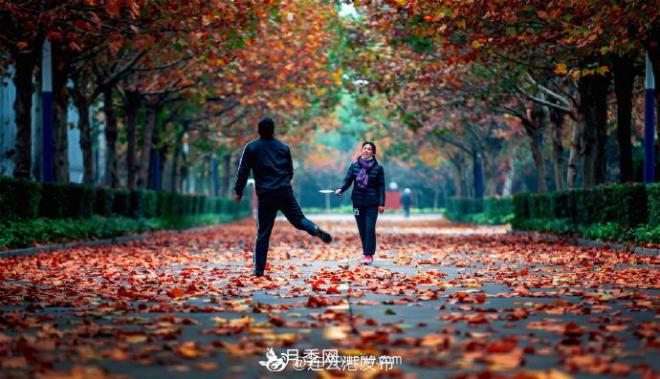 連云港灌云：撩人，滿城風景看不盡(圖3)