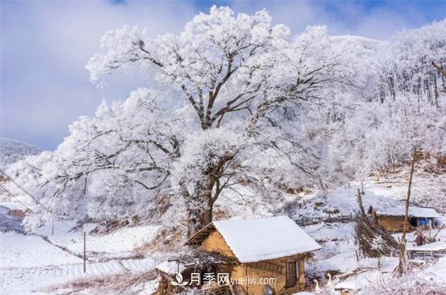 湖北襄陽保康：高山霧凇美如畫(圖1)