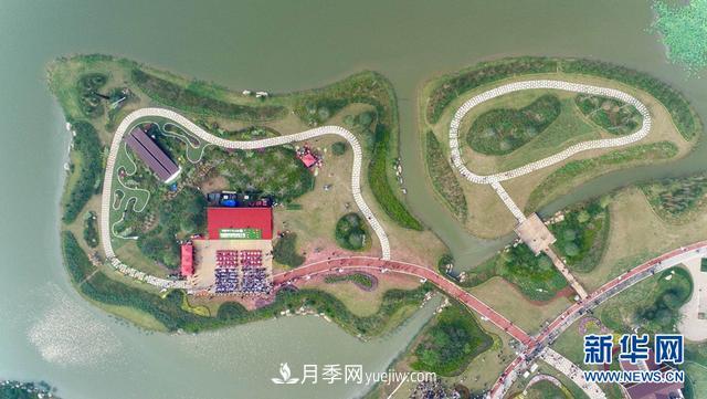 回顧記錄，中國月季展覽會(huì)花開阜陽(圖2)