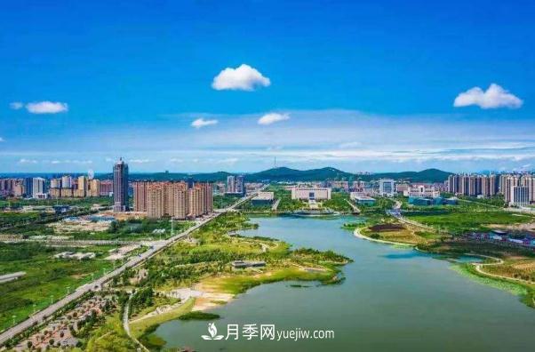 淮南市花、市樹是什么？是月季嗎？(圖1)