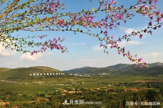 安徽淮北旅游，9個必去的景點(diǎn)盤點(diǎn)(圖1)