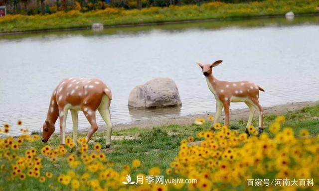 許昌投資2.9億多元，30個園林綠化項目讓許昌更美！(圖3)