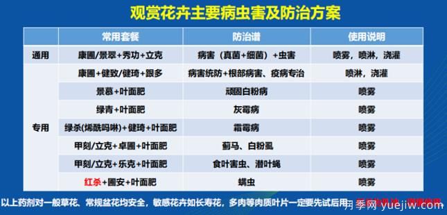 如何提高景觀花卉高發(fā)蟲害的防治效果？(圖1)