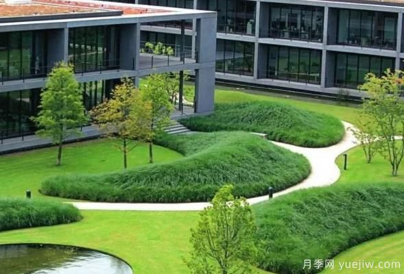 怎樣判斷草坪質(zhì)量的好壞？看4個評價指標(圖1)