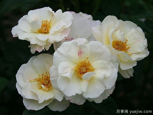 酷變?cè)录?圖2) 酷變?cè)录?圖2)