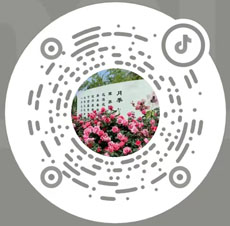 月季網(wǎng)微信花友群和抖音賬號(hào)(圖2)