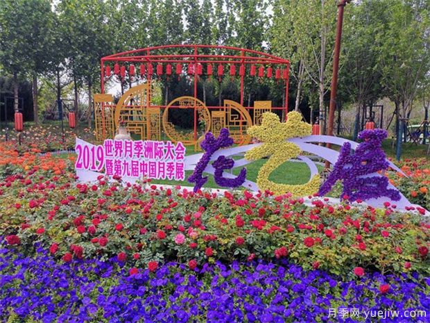 月季名園：南陽(yáng)世界月季大觀園(圖4)