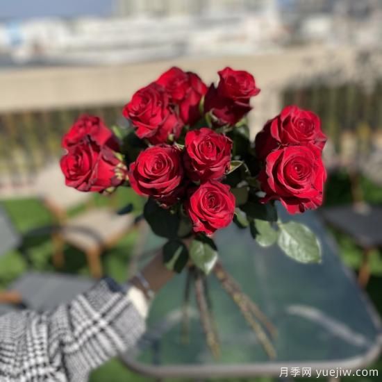 花店常備的15種紅玫瑰是什么？有什么優(yōu)缺點(diǎn)？(圖2)
