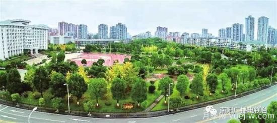 百萬(wàn)月季進(jìn)城，南陽(yáng)全力以赴創(chuàng)建國(guó)家生態(tài)園林城市(圖3)