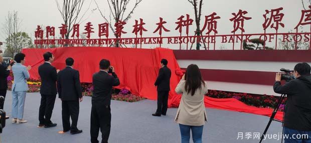 南陽市月季國家林木種質(zhì)資源庫成立，打造南陽月季甲天下(圖2)