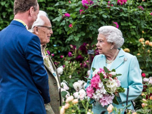 英國月季之父大衛(wèi)奧斯汀的月季花園 最美的月季都在這里(圖3)