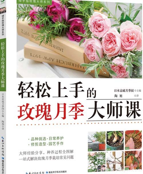 月季圖書(shū)：日本京成《輕松上手的玫瑰月季大師課》(圖1)