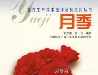 月季圖書：郭志剛《月季:花卉生產(chǎn)技術(shù)原理及其應(yīng)用叢書 》(圖1)