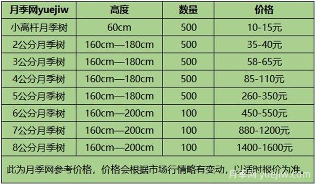 南陽月季樹苗圃_月季樹價格_月季樹多少錢一株(圖1)