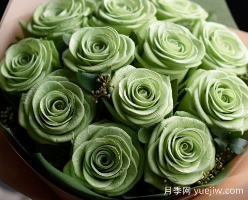 蘇格蘭復(fù)古綠玫瑰，綠色魅力的神秘詮釋(圖1)