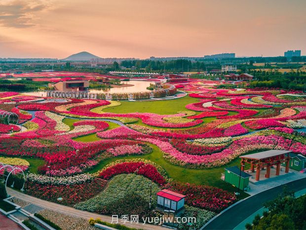 2024年第二屆世界月季博覽會(huì)在南陽(yáng)精彩舉辦(圖2)