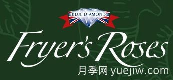 月季育種家：英國(guó)弗萊爾花園中心(Fryers Roses)(圖1)
