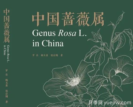 月季圖書：《中國薔薇屬》(圖1)