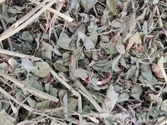 2024年南陽優(yōu)質花生秧草粉開始供應(圖2)