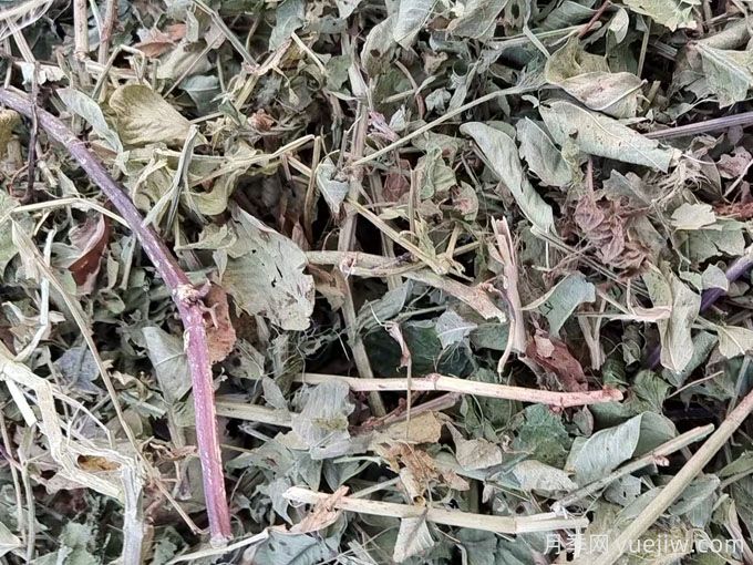 2024年南陽優(yōu)質花生秧草粉開始供應(圖3)