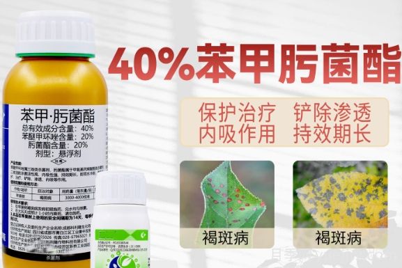 月季打藥怎么配？稀釋很難嗎？(圖1)
