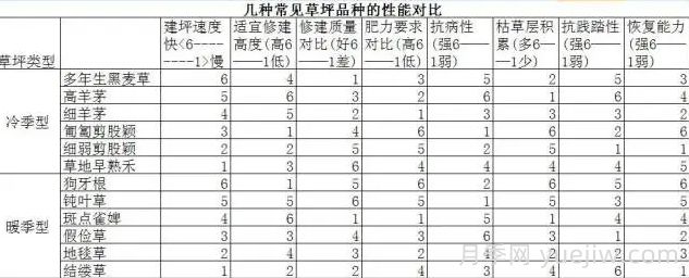 草坪品種及性能對比，收藏學習(圖2)