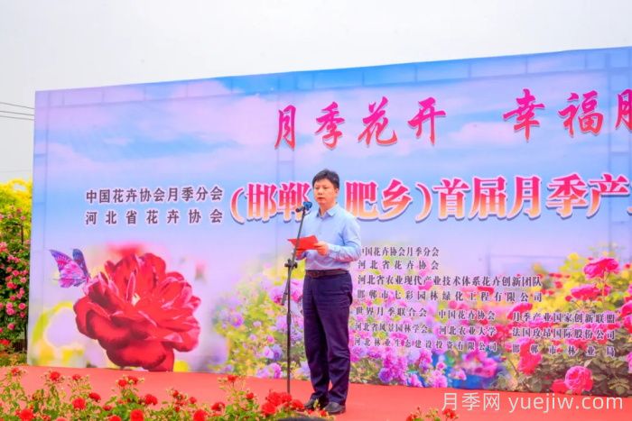 邯鄲月季：肥鄉(xiāng)區(qū)首屆月季產業(yè)高質量發(fā)展大會舉辦(圖1)