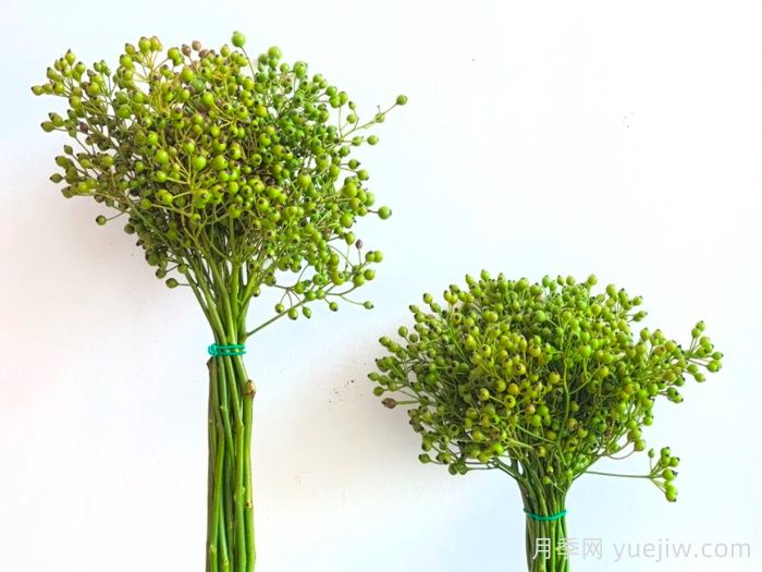 南陽自育薔薇宛砧切果產(chǎn)品，山歸來亮相(圖1)
