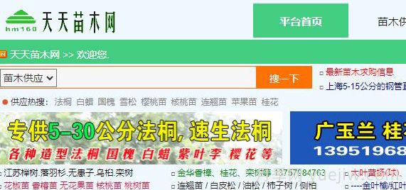 天天苗木網(wǎng)，苗木供應(yīng)求購信息服務(wù)網(wǎng)(圖1)