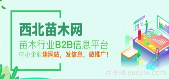 西北苗木網(wǎng)，苗木供應(yīng)求購網(wǎng)站(圖1)