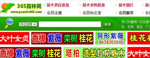 中華園林網(wǎng)，365園林網(wǎng)，園林花木行業(yè)網(wǎng)站(圖1)