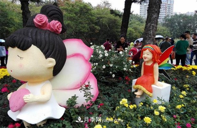 好多年沒到深圳人民公園看月季花展了，不知今年如何(圖4)