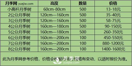 3-4公分月季樹(shù)報(bào)價(jià)，3-4公分高桿月季報(bào)價(jià)！(圖3)