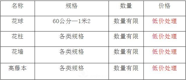 清地在即，部分造型月季品類月季價(jià)格短時(shí)間走低(圖1)