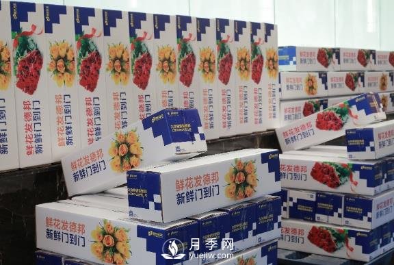 情人節(jié)春節(jié)相遇，德邦快遞＂春節(jié)不休＂滿足鮮花運輸旺盛需求(圖1)