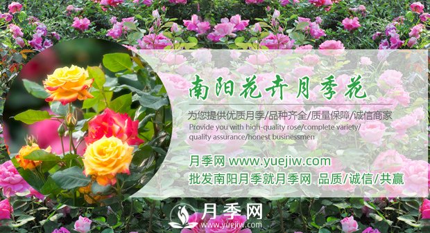 花木經濟學的七條規(guī)律(圖1)